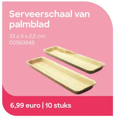Promotie: Serveerschaal van palmblad