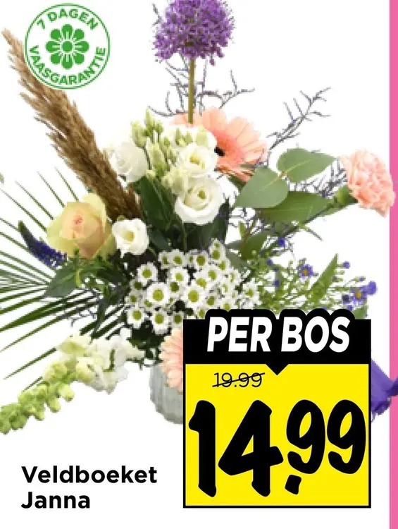 Aanbieding: Veldbouket Janna