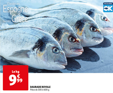 Offre: DAURADE ROYALE