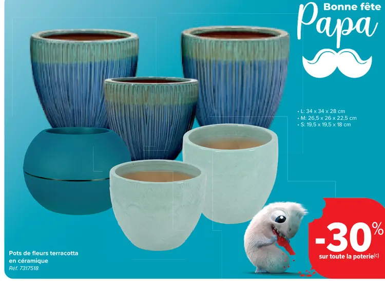 Offre: Pots de fleurs terracotta