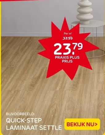 Aanbieding: Praxis plus prijs