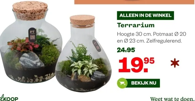 Aanbieding: Terrarium