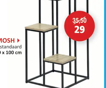 Promotie: Bloemenstandaard