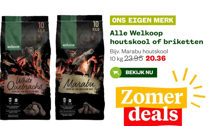 Aanbieding: Alle Welkoop houtskool of briketten