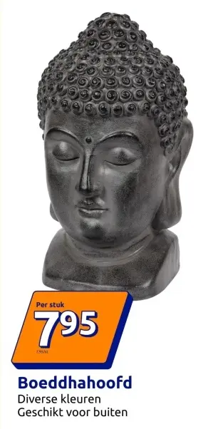 Promotie: Boeddhahoofd