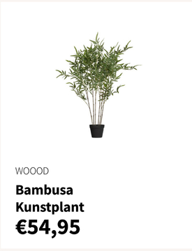 Aanbieding: Bambusa Kunstplant