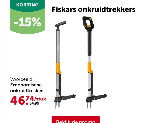 Promotie: Madeliefjes of viooltjes mix in schaal of man