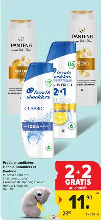 Offre: Shampooing