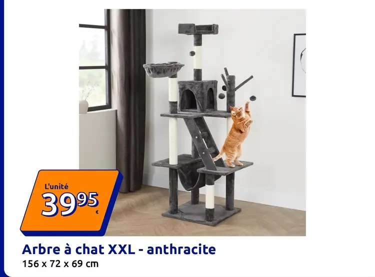 Offre: Arbre à chat XXL - anthracite