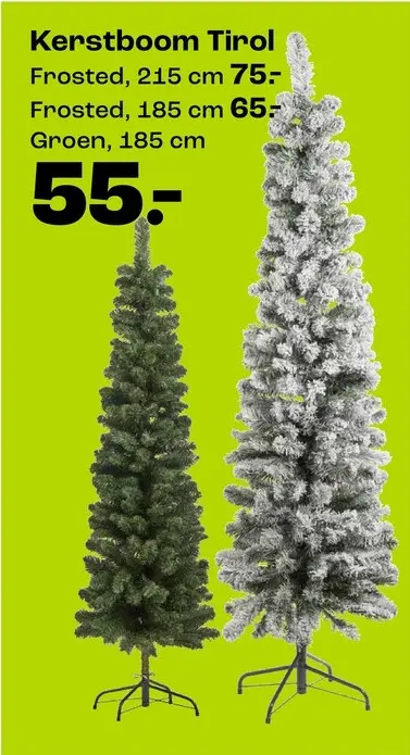 Promotie: Kerstboom Tirol