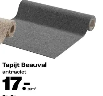Promotie: Tapijt Beauval