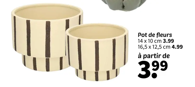 Offre: Pot de fleurs