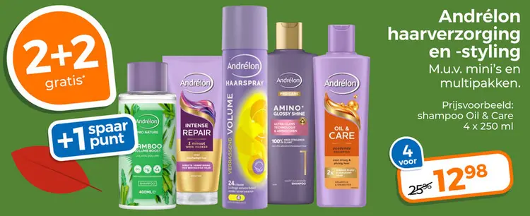 Aanbieding: Haarverzorging en -styling