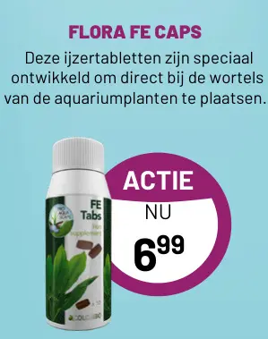 Aanbieding: Flora fe caps
