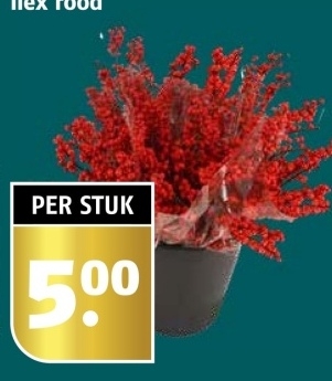 Aanbieding: Ilex Food