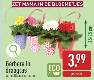 Promotie: Gerbera in draagtas