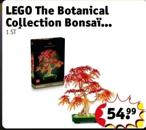 Offre: The Botanical Collection Bonsai derable rouge du japon