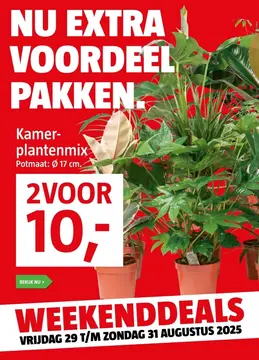 Aanbieding: Kamerplantenmix