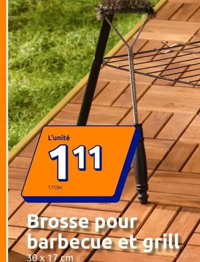 Offre: Brosse pour barbecue et grill