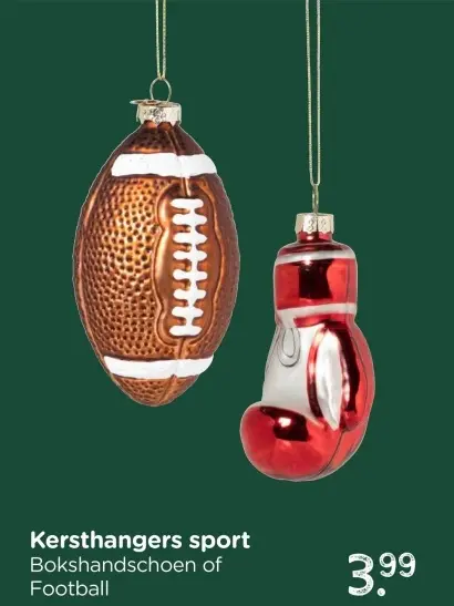 Aanbieding: Kersthangerset