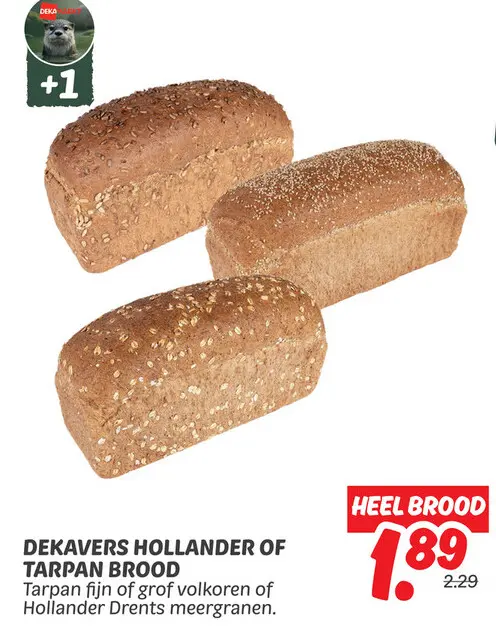 Aanbieding: Hollander of tarpan brood