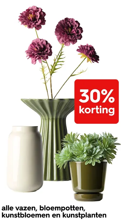 Aanbieding: Alle vazen, bloempotten, kunstbloemen en kunstplanten