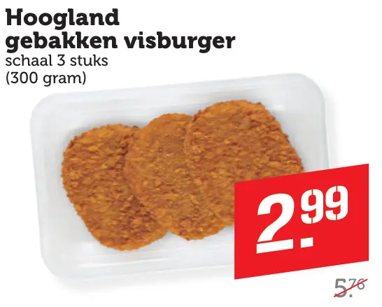 Aanbieding: Hoogland Gebakken visburger
