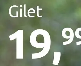 Aanbieding: Gilet