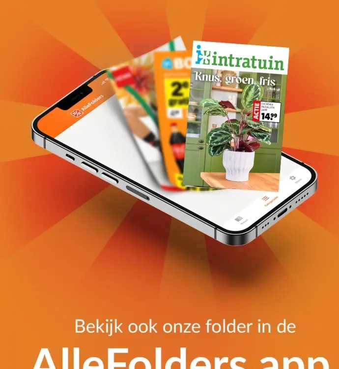 Aanbieding: Calathea metallion