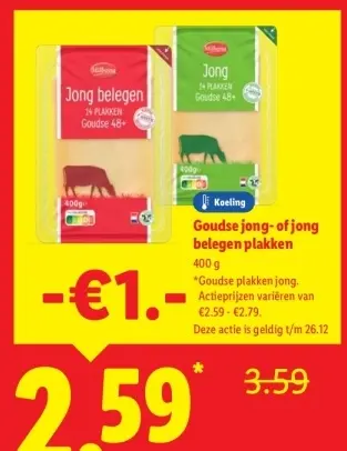 Aanbieding: Goudse jong- of jong belegen plakken