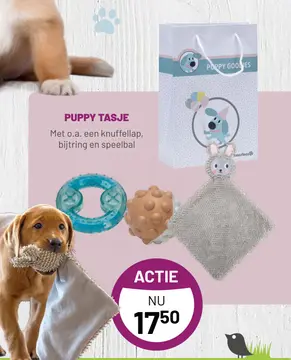 Aanbieding: PUPPY TASJE