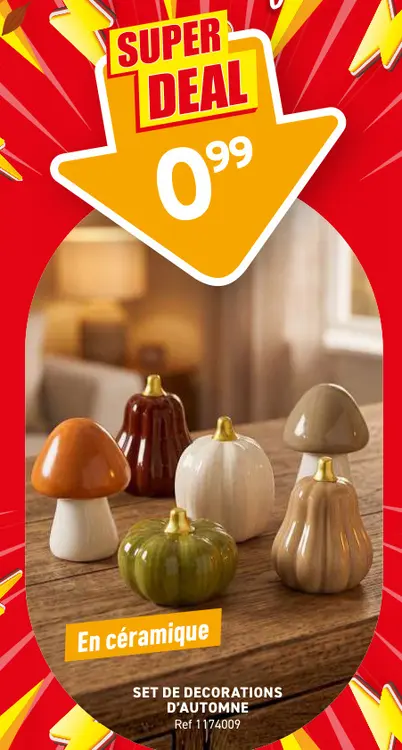 Offre: Set de decorations d'automne