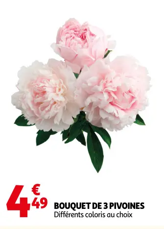 Promotie: Bouquet de 3 pivoines