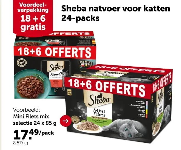 Promotie: natvoer voor katten
