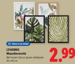 Aanbieding: Muurdecoratie