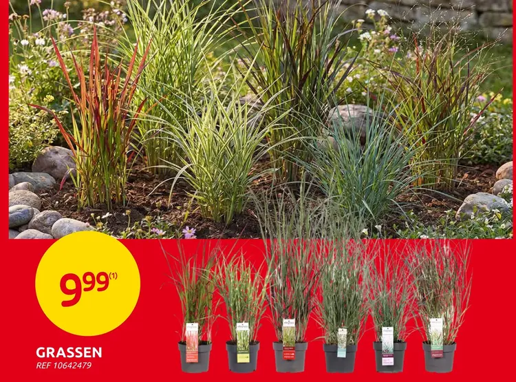 Promotie: Grassen