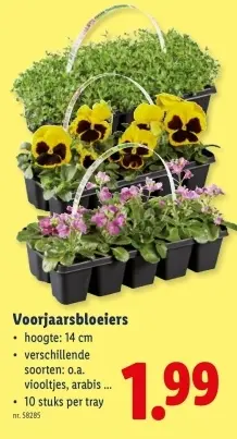 Promotie: Voorjaarsbloeiers