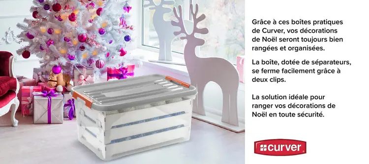 Offre: Boîte de rangement pour décorations de Noël
