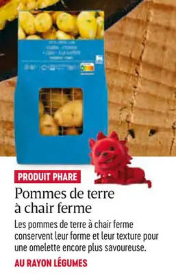 Offre: Pommes de terre à chair ferme