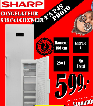 Offre: CONGÉLATEUR SJSC41CHXWEEU