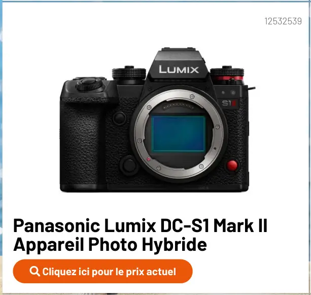 Offre: Lumix DC-S1 Mark II