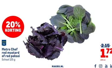 Aanbieding: Metro Chef red mustard of red paksoi