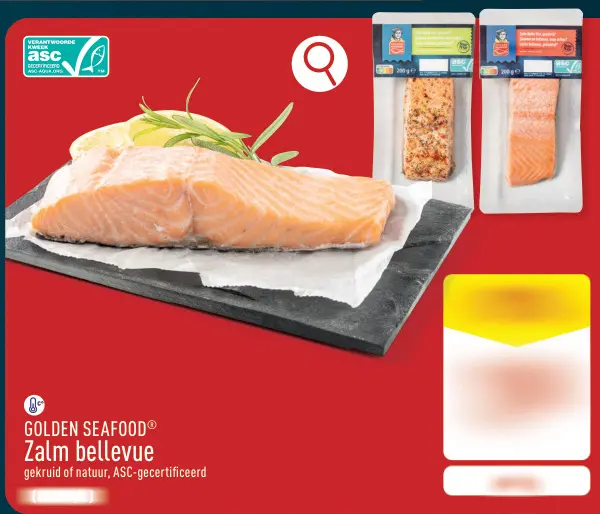 Promotie: Zalm bellevue
