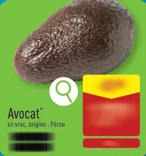 Offre: Avocat