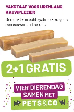 Aanbieding: Yakstaaf