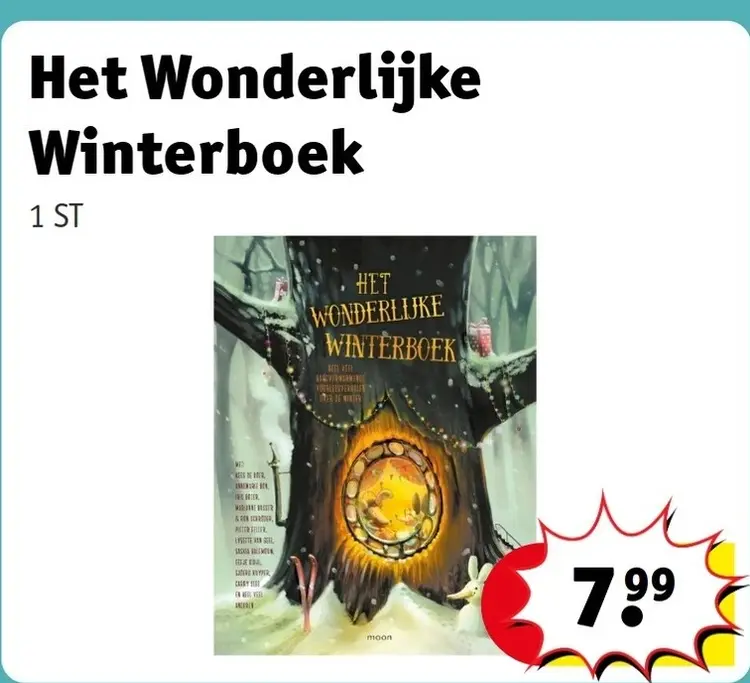 Aanbieding: Het Wonderlijke Winterboek