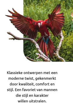 Aanbieding: Klassieke ontwerpen