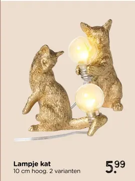 Aanbieding: Lampje kat