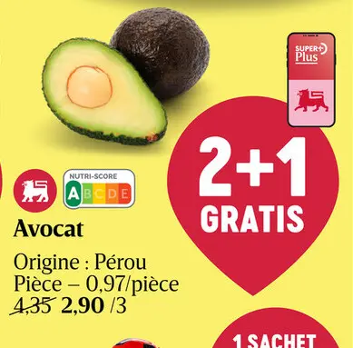 Offre: Avocat