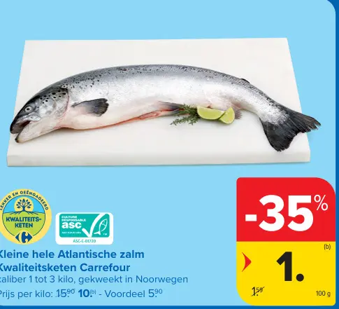 Promotie: Kleine hele Atlantische zalm